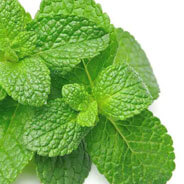 Peppermint Oil